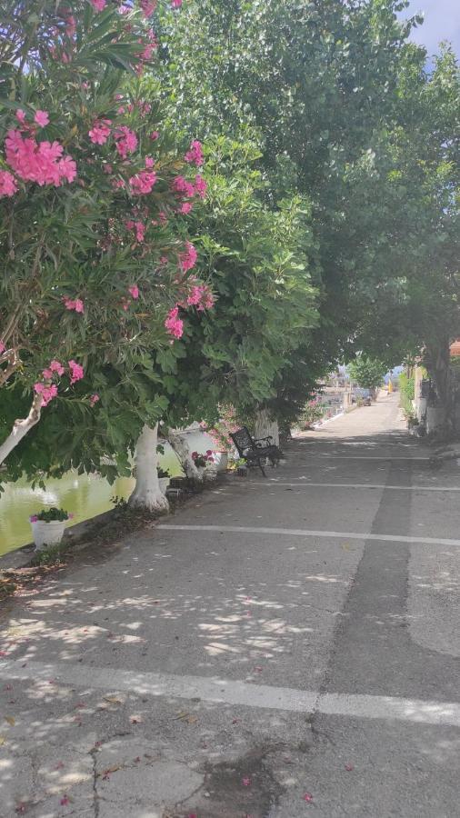 Apartment Potami Lefkimmi (Corfu)